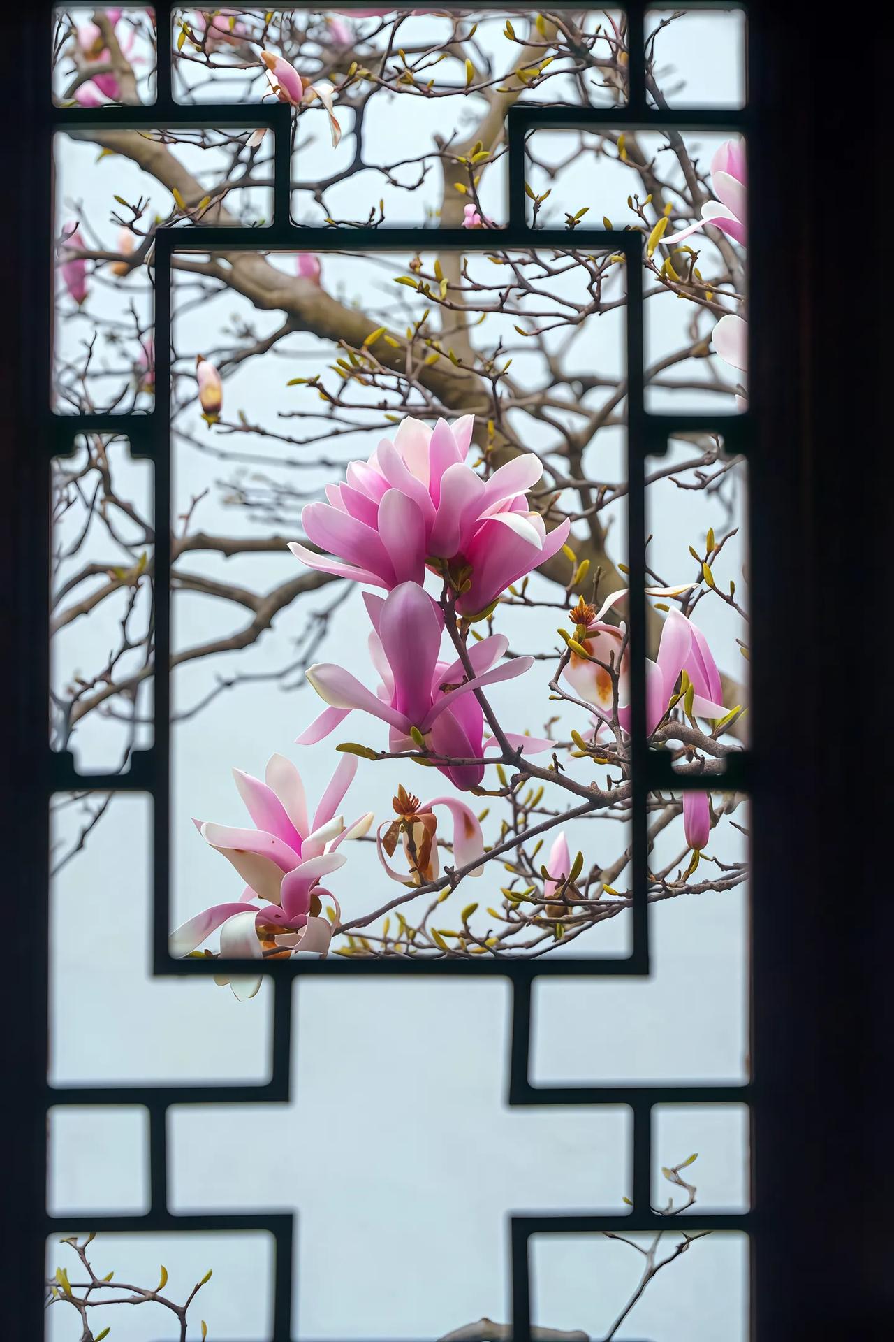 最近总能刷到所谓单亲妈妈的视频。随着单亲妈妈成为流量密码，大量非相关主体纷纷入局