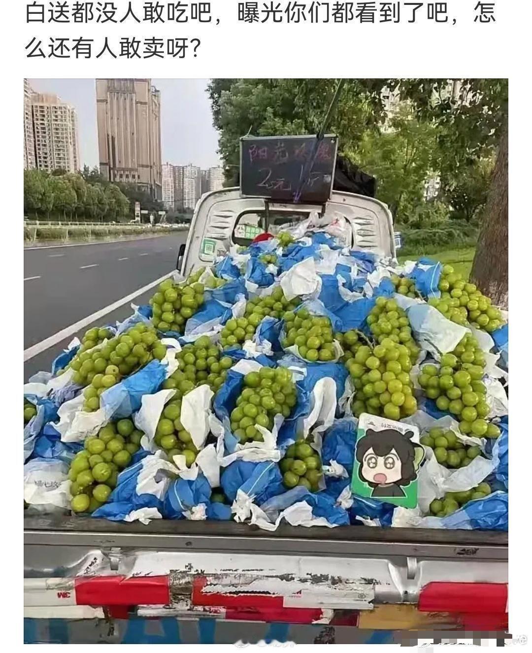 为什么越是便宜的时候，越是没有吃啦？