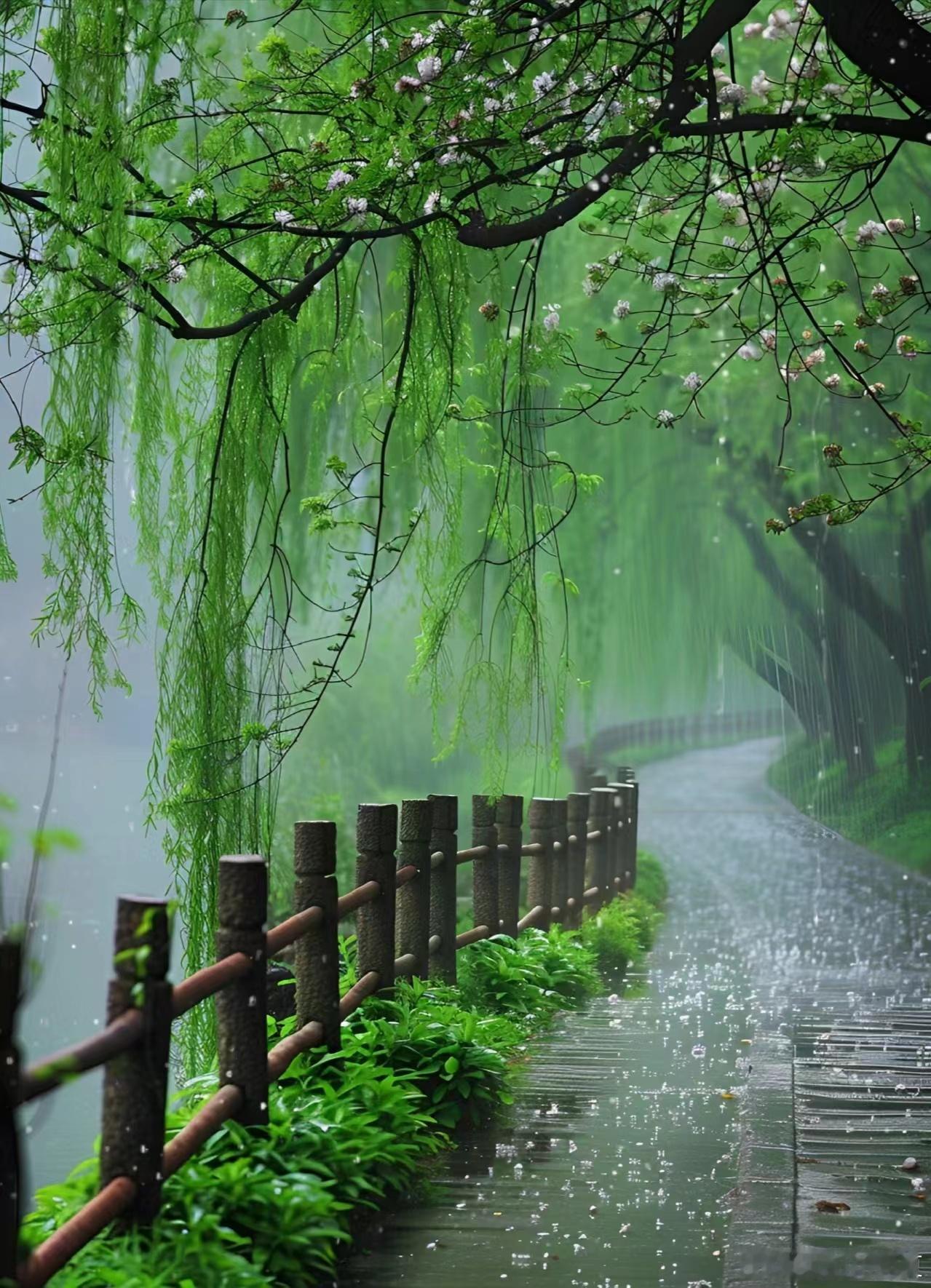 烟雨漫染柳堤，清风携雨入盛夏～寻美河南