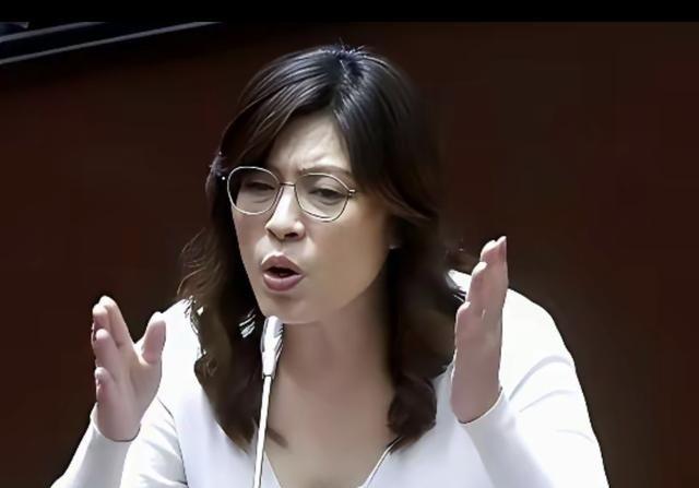 台湾蓝营终于摊牌了！郑丽文曾经公开拒绝“一国两制”，不再模糊回避。这记重拳打向何