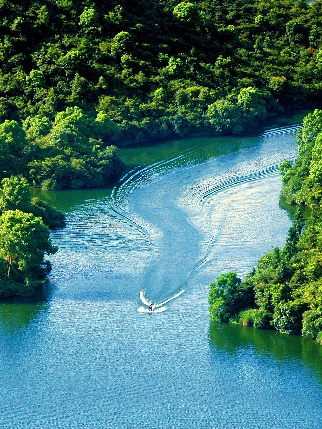 【德育不是“等孩子出问题了再谈心”，而是把孩子的每一次哭闹、每一次失败都当成“情