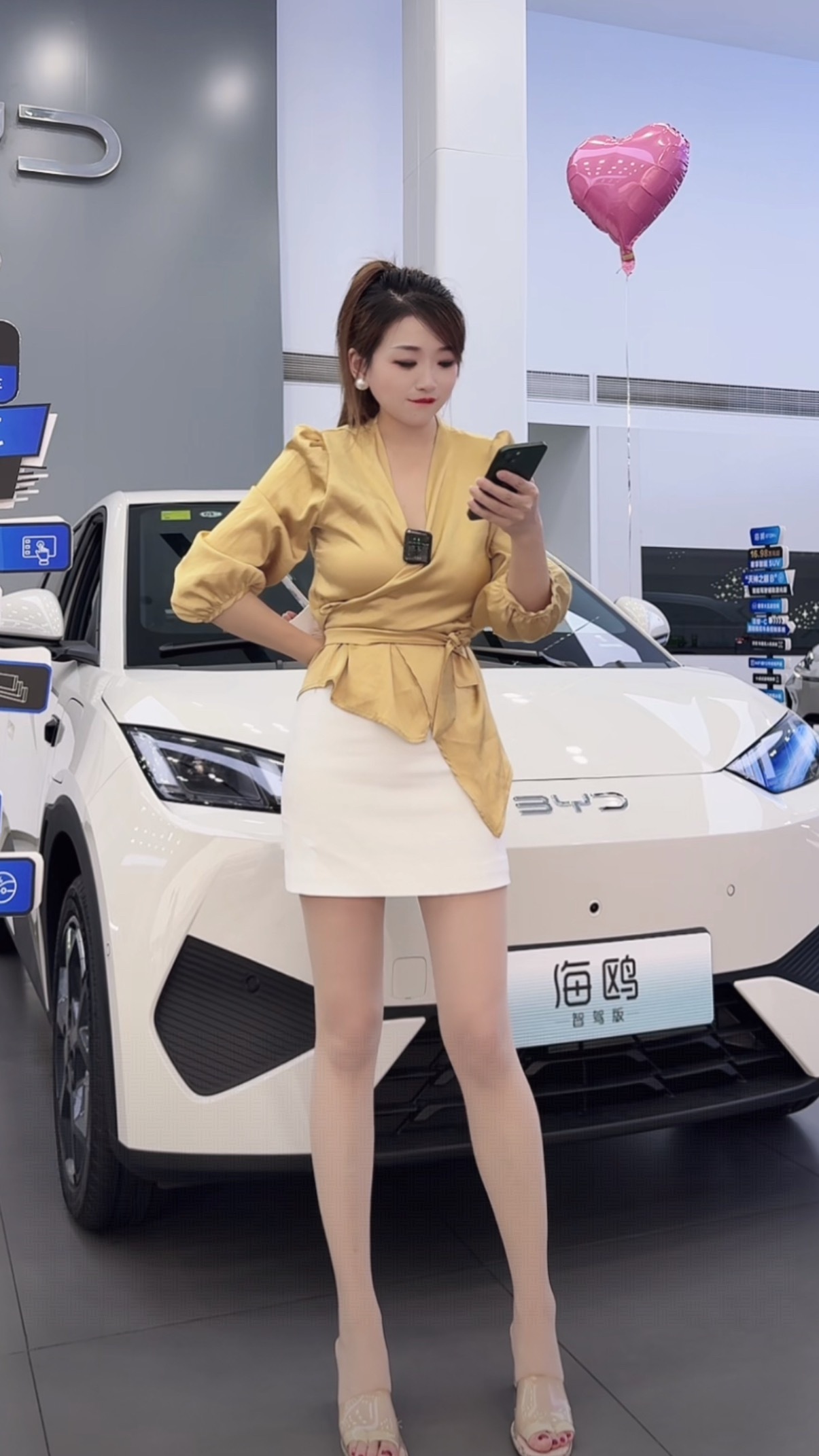 海鸥车不小啊 ​​​