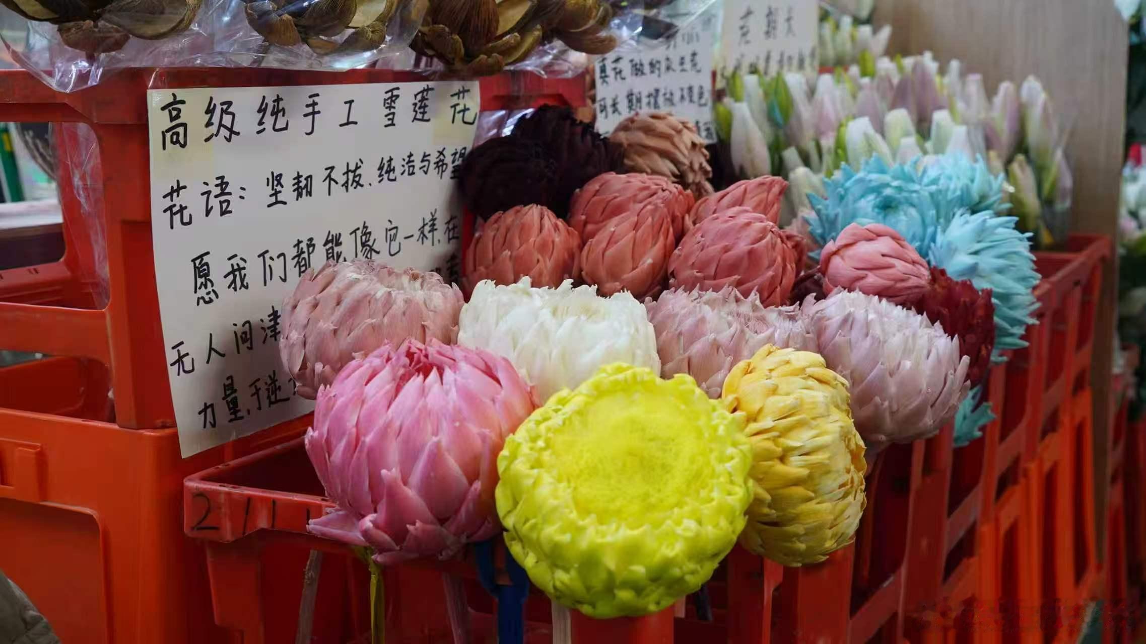 3518战略看云南【绿电智造向新行 低空经济展翅飞！采风探秘曲靖高质量发展新动能