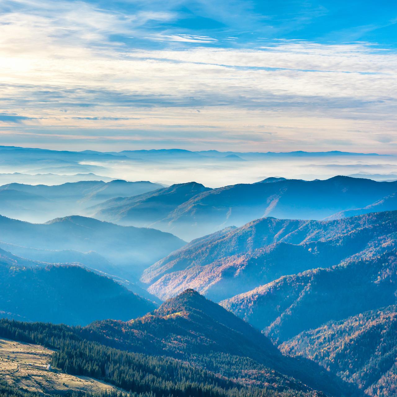 人生的下半场，善待自己，做个简单的人，少与人纠缠，不生气，不取悦，放下别人的错，