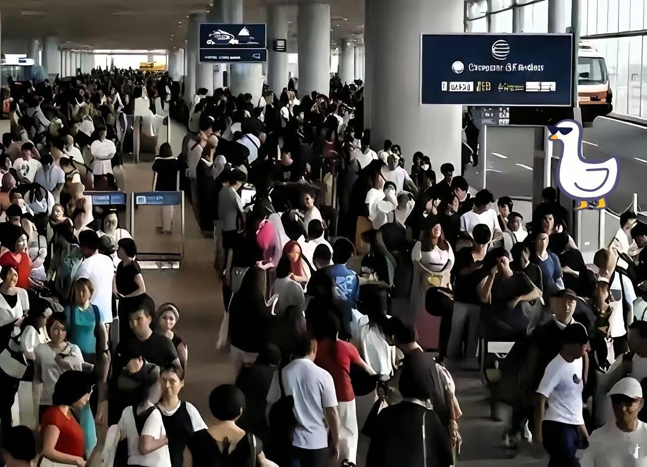 刷到日本机场那则视频
我是真没忍住！一群人扯着嗓子喊“必须派包机接我们”

不知