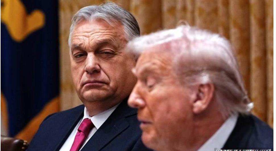 匈牙利外长驳斥制裁豁免期限报道：属“假新闻”
匈牙利外长彼得·西雅尔托（Pete