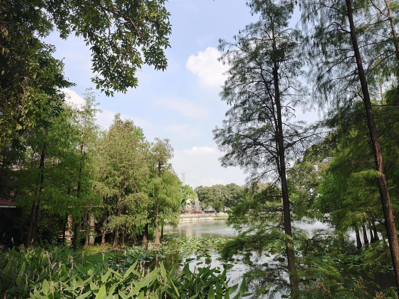广州街道景色 镜头下的广州 看看你拍的广州 城市观察员 城市.街拍  城市身边的