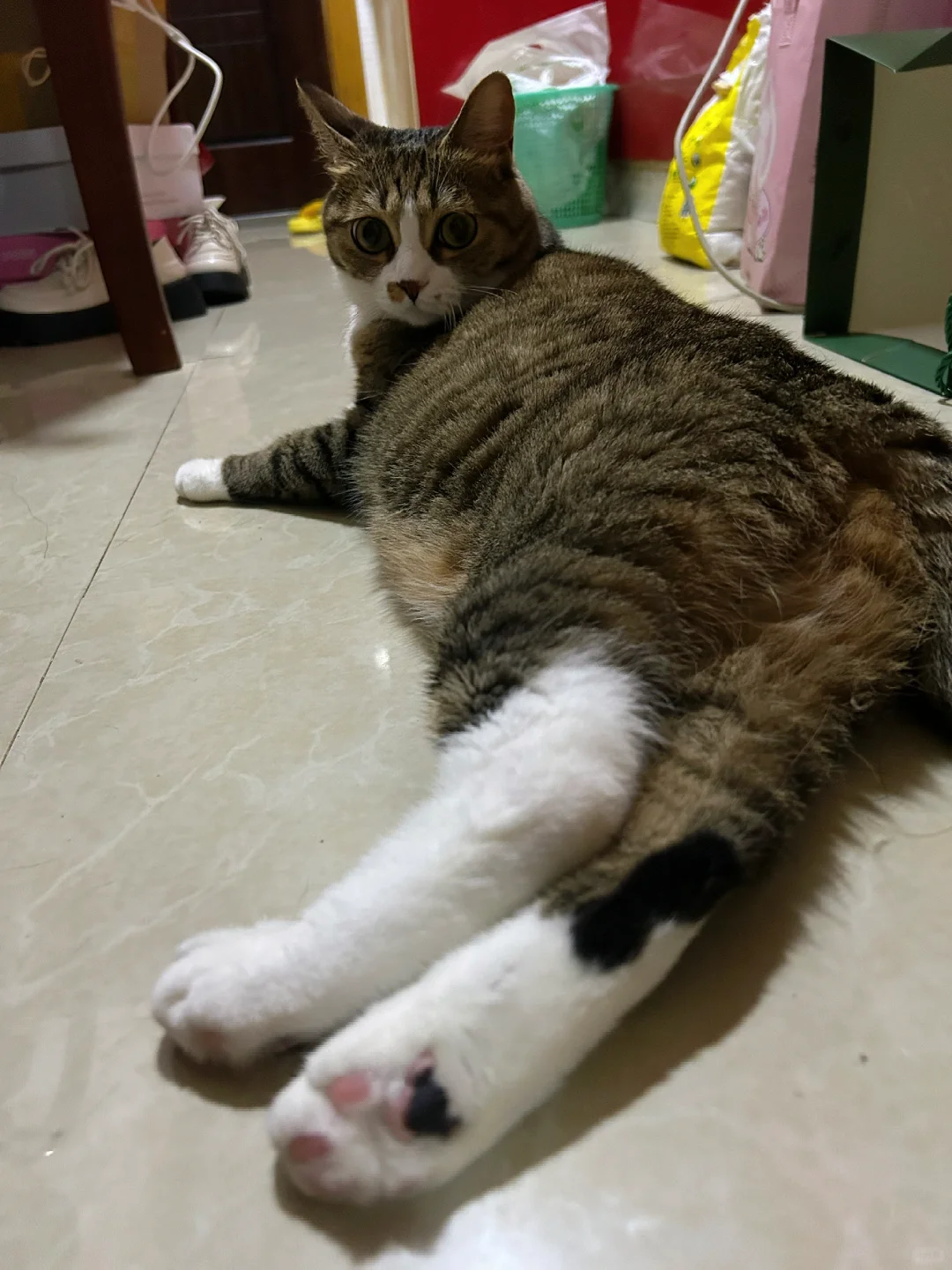 这腿儿够妖娆吧～