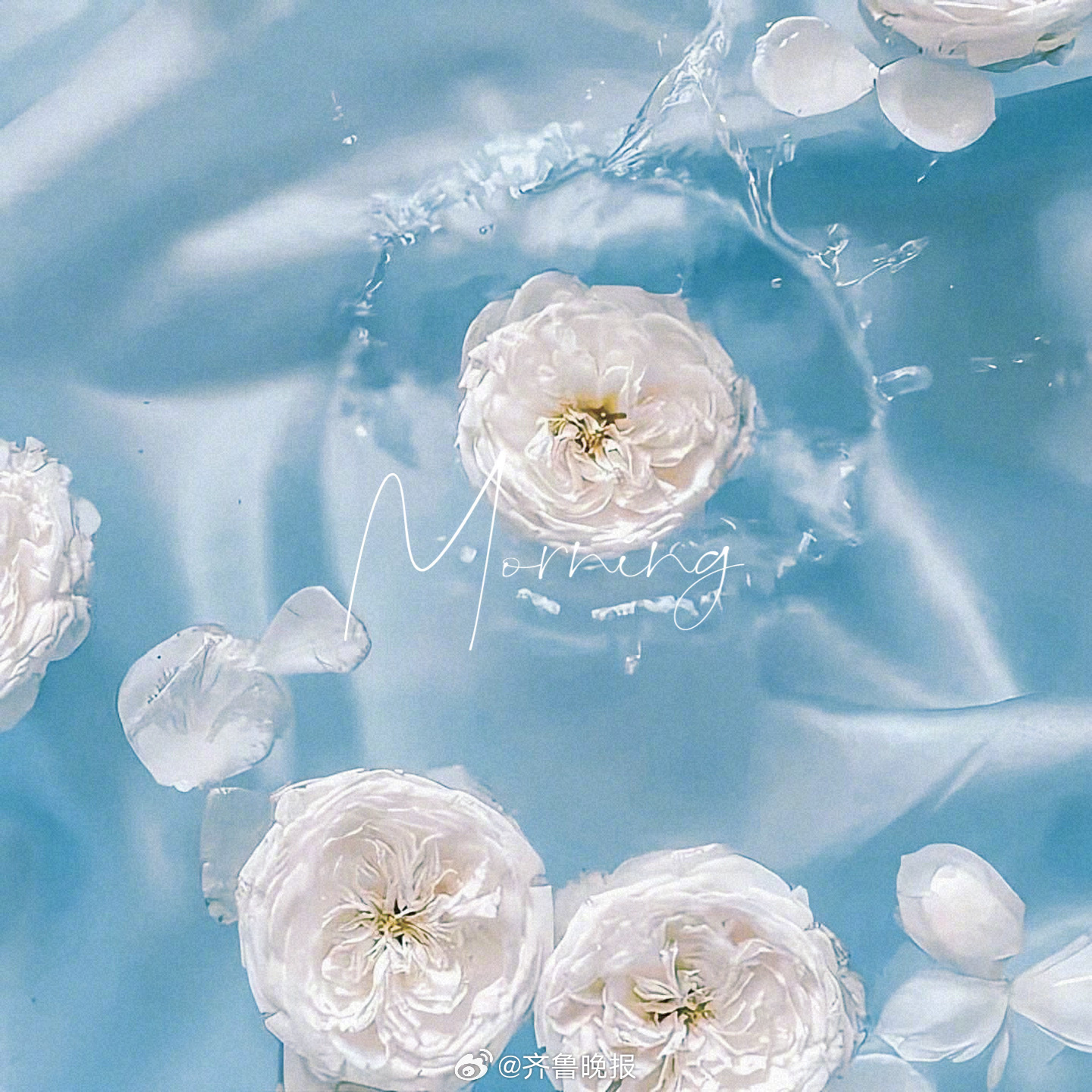 心怀感恩所遇皆温柔#早安#