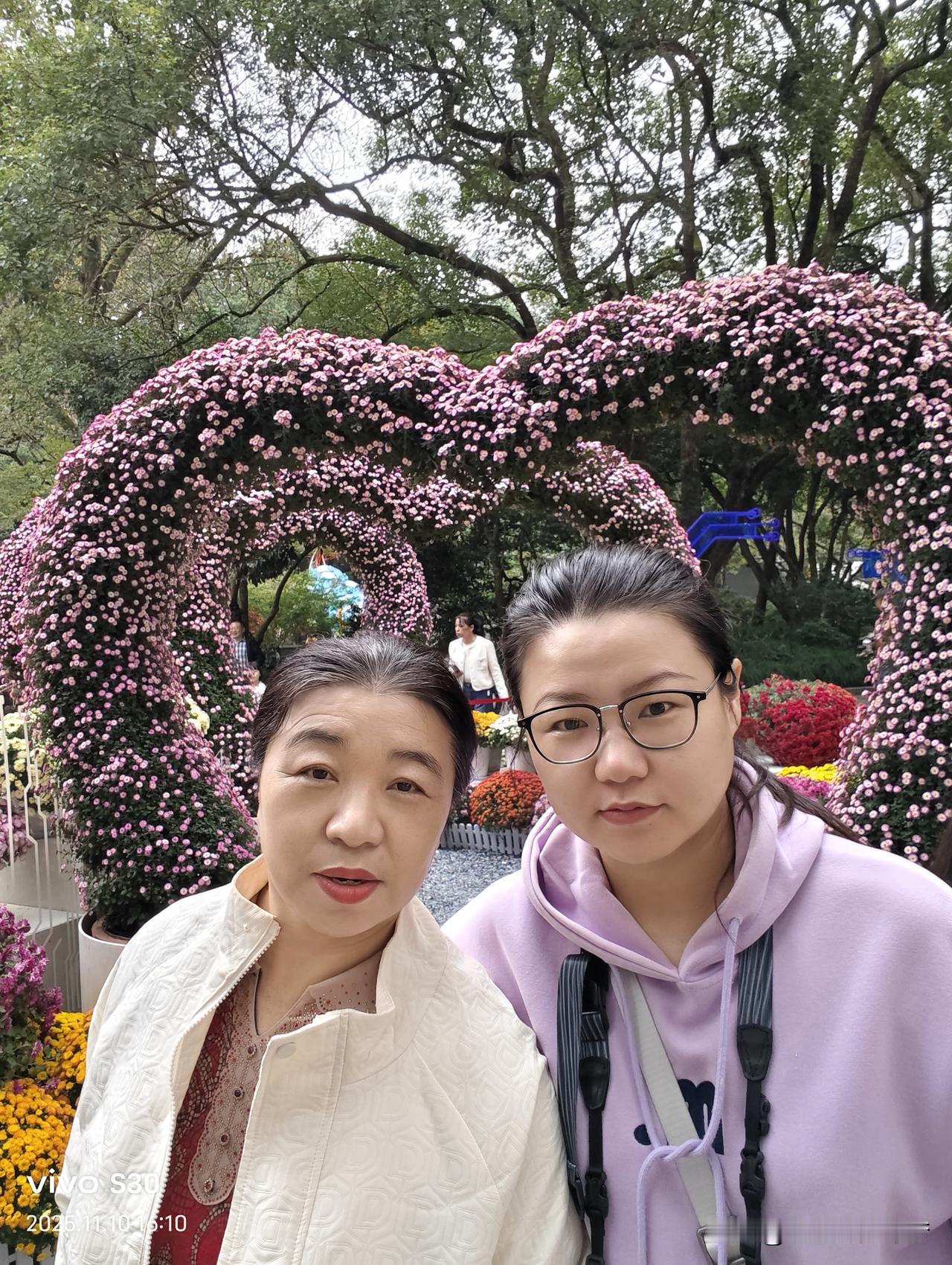 去杭州植物园看菊花