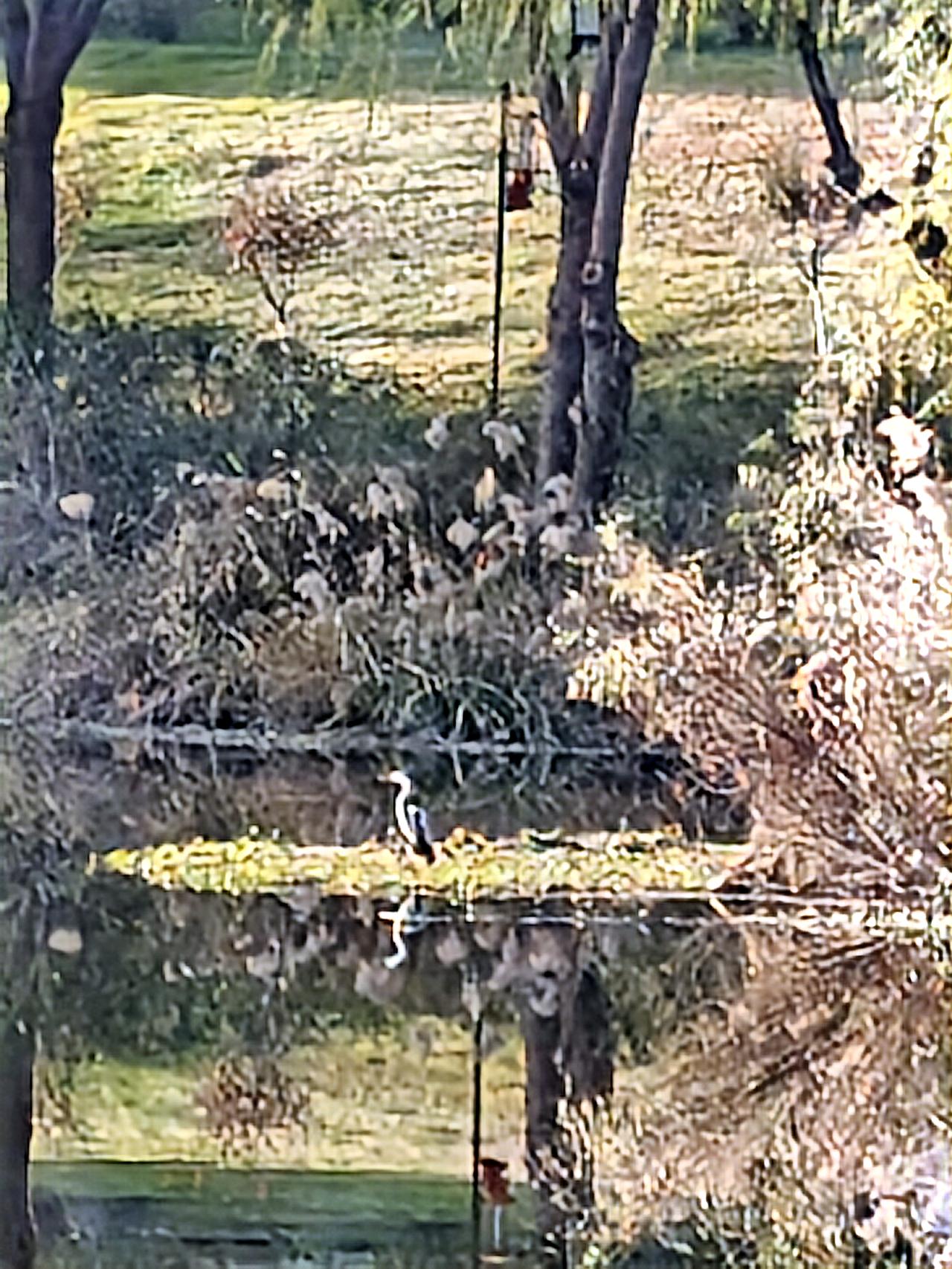 我的领地，舍我其谁！