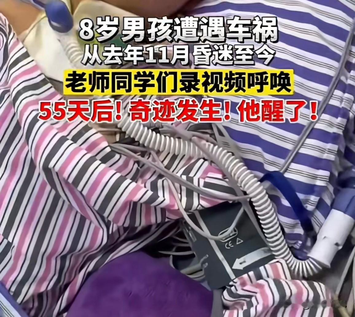 奇迹发生，他醒了！

2025年11月，湖南长沙8岁半的男孩在上学途中遭遇车祸，