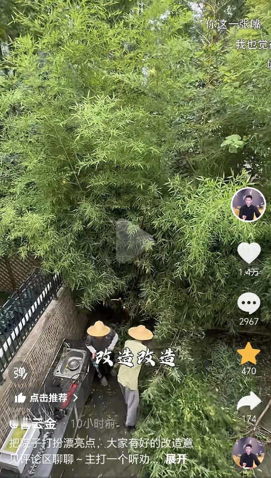 曹云金砍光了别墅院子里的竹林，这下网友们的脑洞开得比砍下来的竹子还大。

8月1