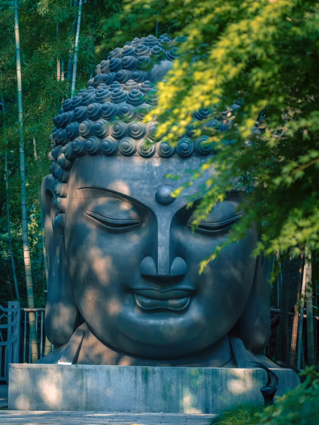 避暑胜地！杭州8处吸氧之境