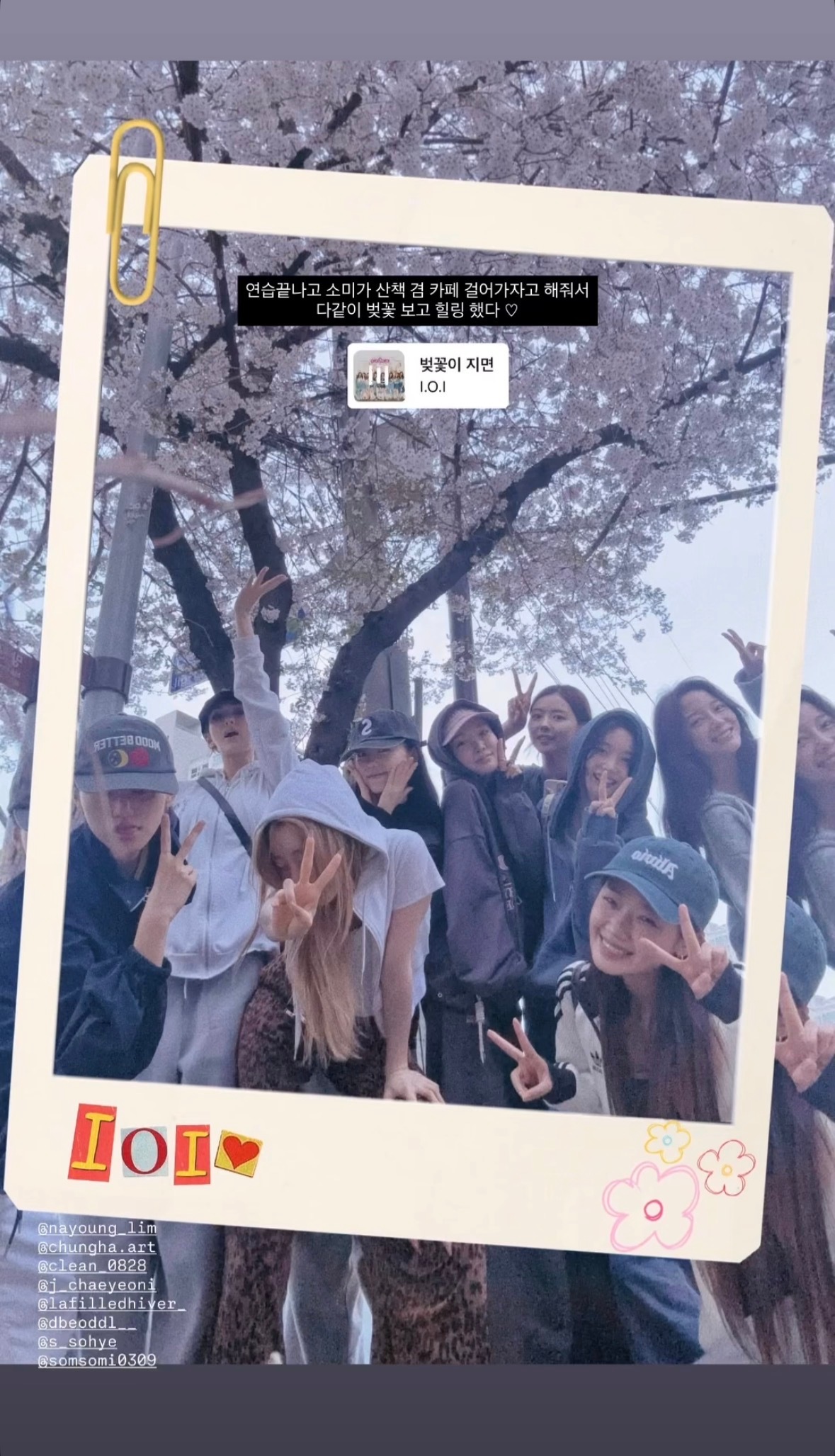 结束练习后在樱花下拍照的I.O.I 