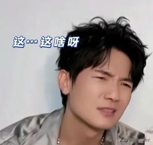 陈楚生 陆虎 你俩快来看啊
苏醒 王栎鑫 张远 王铮亮 扫腿舞搞抽象
今夕是何年