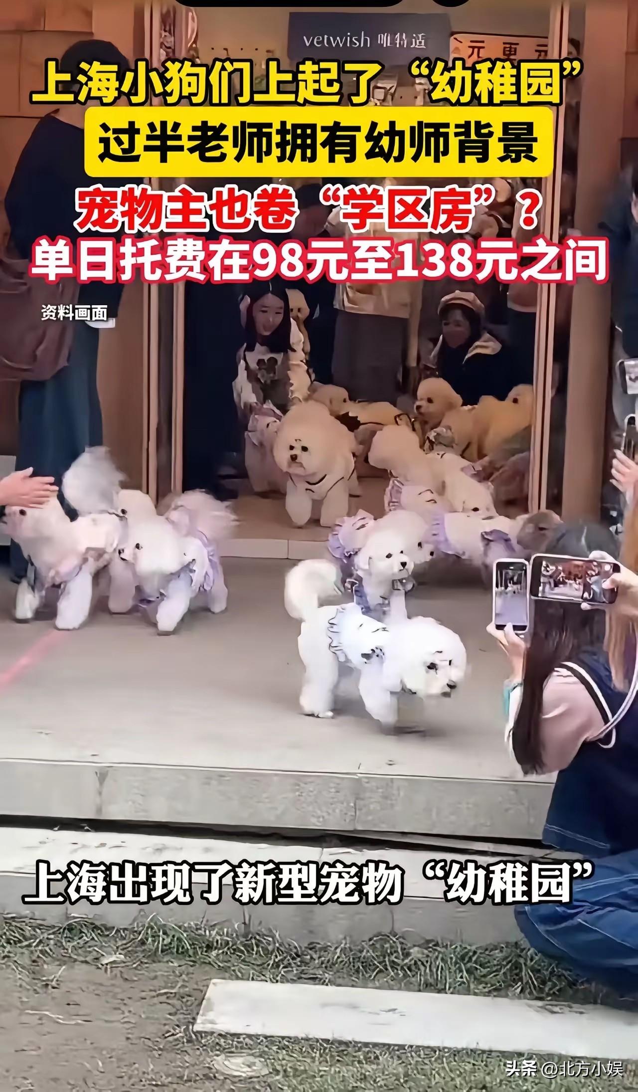 人的钱难赚都开始赚狗的钱了！不得不说这些人的思路太活泛了，活该人家发财！

上海