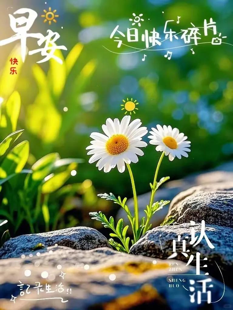 “早安，快乐！记录生活的美好瞬间”🌞🌸📸