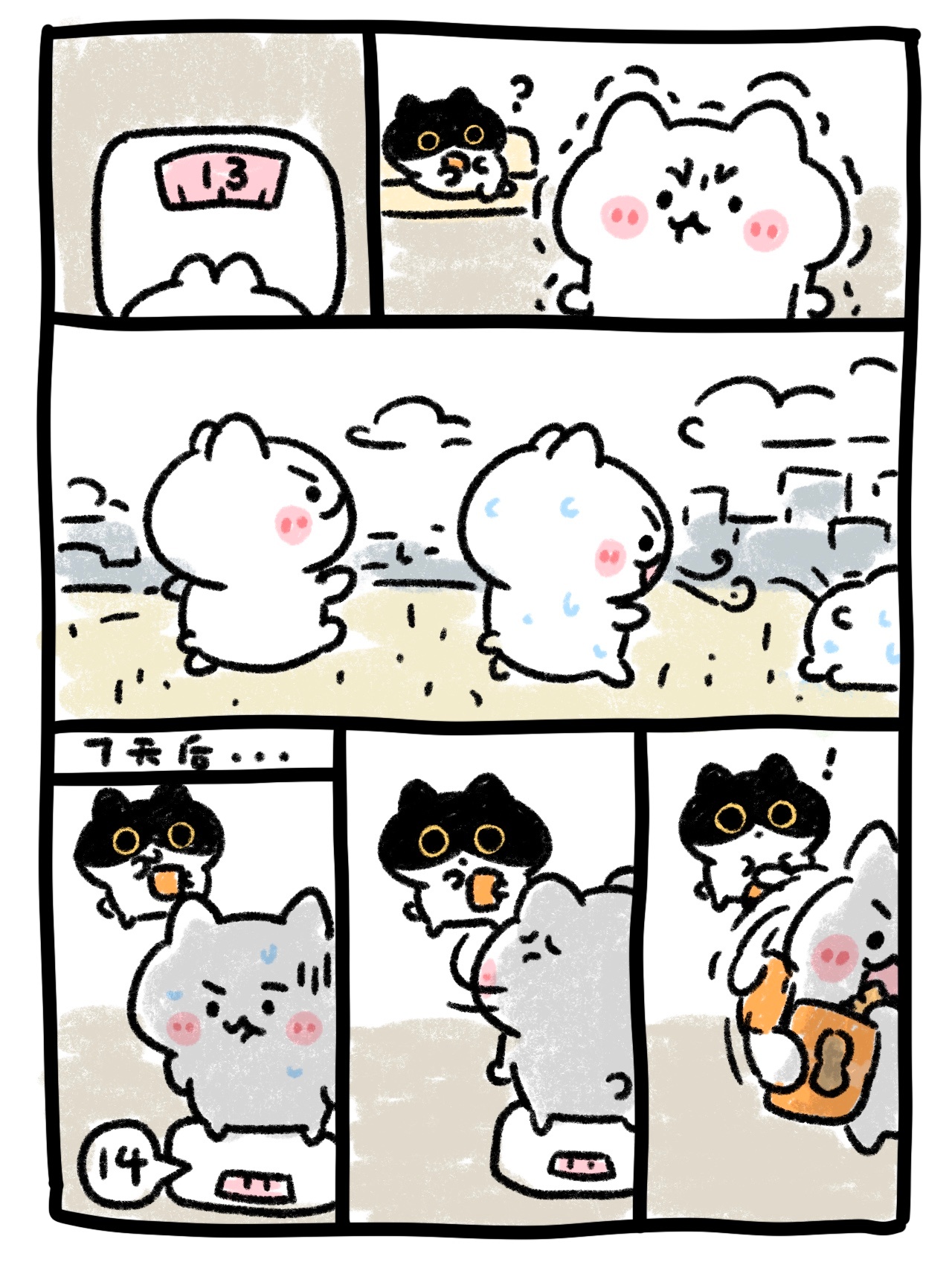 最新消息。14斤了。[苦涩][苦涩][苦涩] ​​​