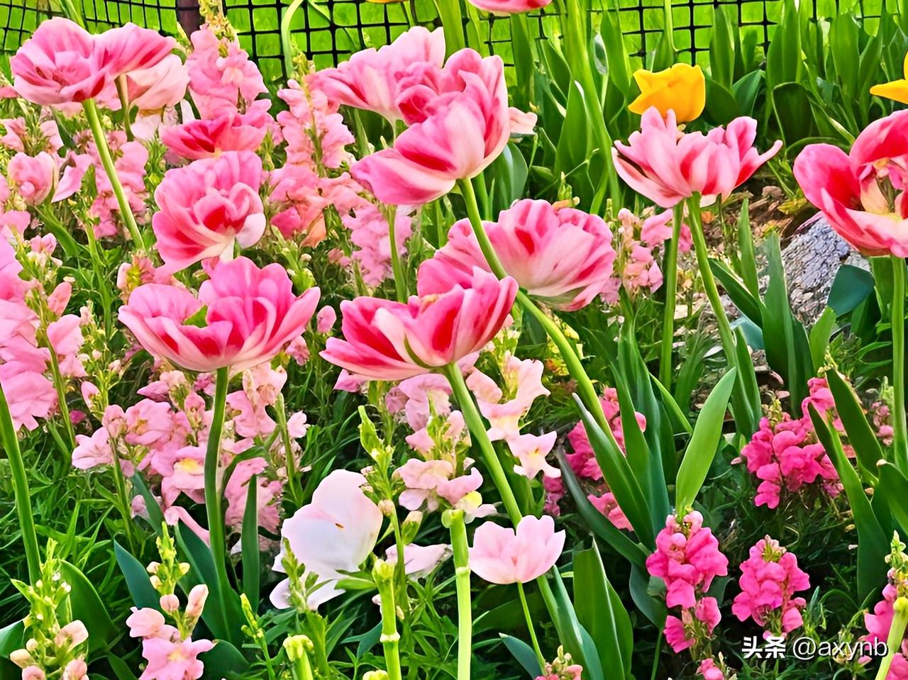 今日头条周报(2026.6.15-2026.6.21)互动排行揭晓啦!上周与我互