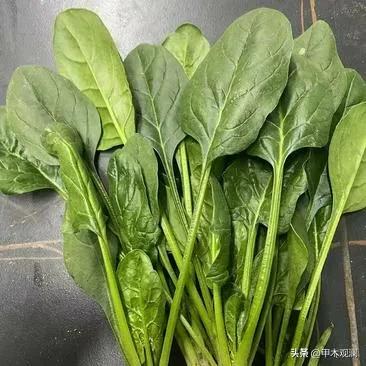 今天发现个BUG，吃面条原来这么省钱，还好吃。
原因是超市波菜这两天便宜2块一把