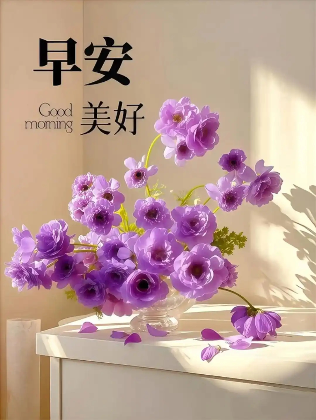每个人都有自己的成长节奏，走得快或慢都没关系。不用追赶别人，不必焦虑进度，安稳走