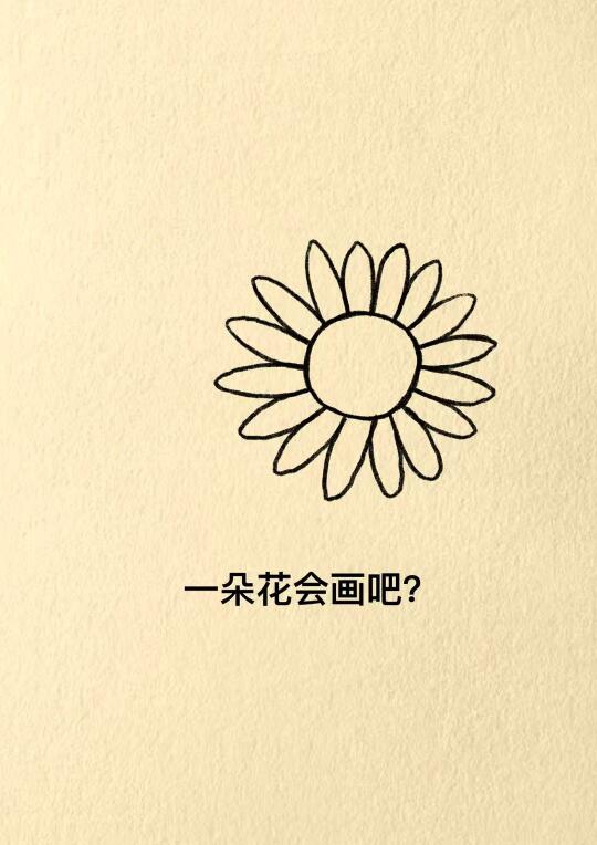 不再为谁装扮成玫瑰，要做自己的向日葵