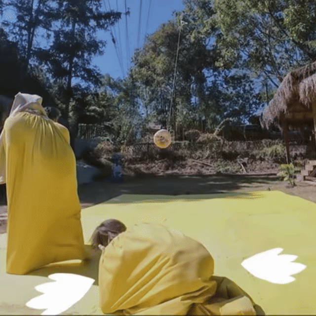 抓走鹿晗原来用黄色麻袋麻袋里的鹿晗原来抓捕鹿晗的专属道具是黄色麻袋！麻袋里的小鹿