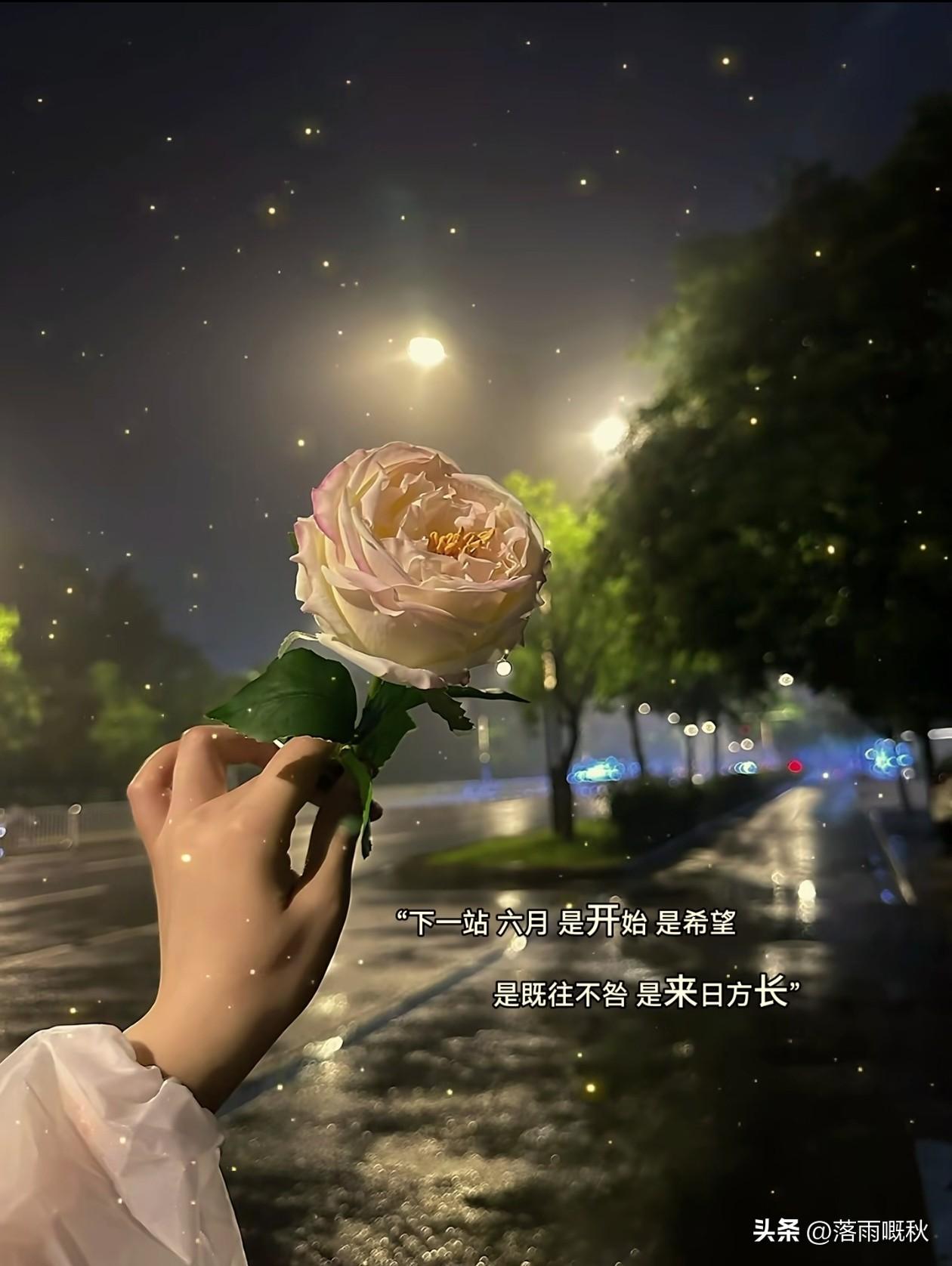 🏘️ 𓐃𝑳𝒐𝒗𝒆  ༘🌿


   下一站 六月 是开始 是希望