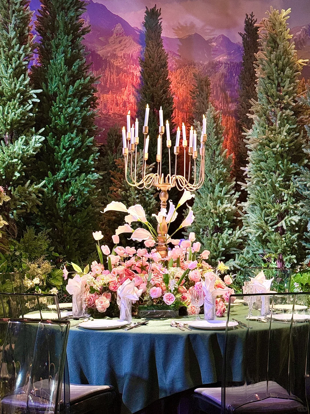 藏在爱丽丝梦游仙境的浪漫后花园🍃💐