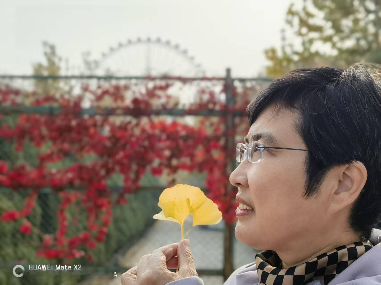 风一吹，银杏叶如金色的雨般簌簌飘落，这并非衰败，而是季节更替的一场盛大仪式。在奥