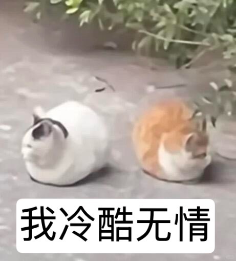 现在家姐已经进展到白天清冷佛子晚上西域妖女的程度了吗下午有人发西域妖女，评论区说
