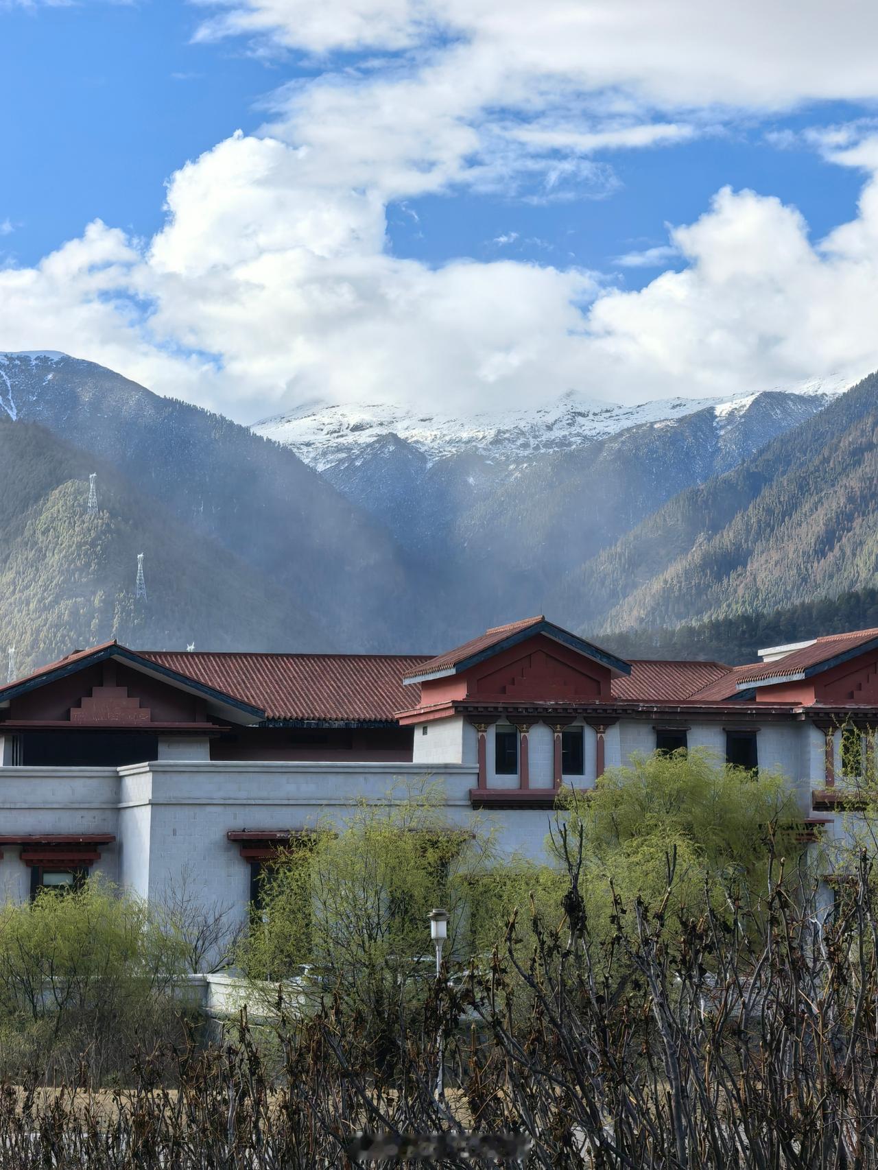 再次回到林芝，还是住在林芝希尔顿✨
五年前初见便心动，故地重游直接锁了江景套房。