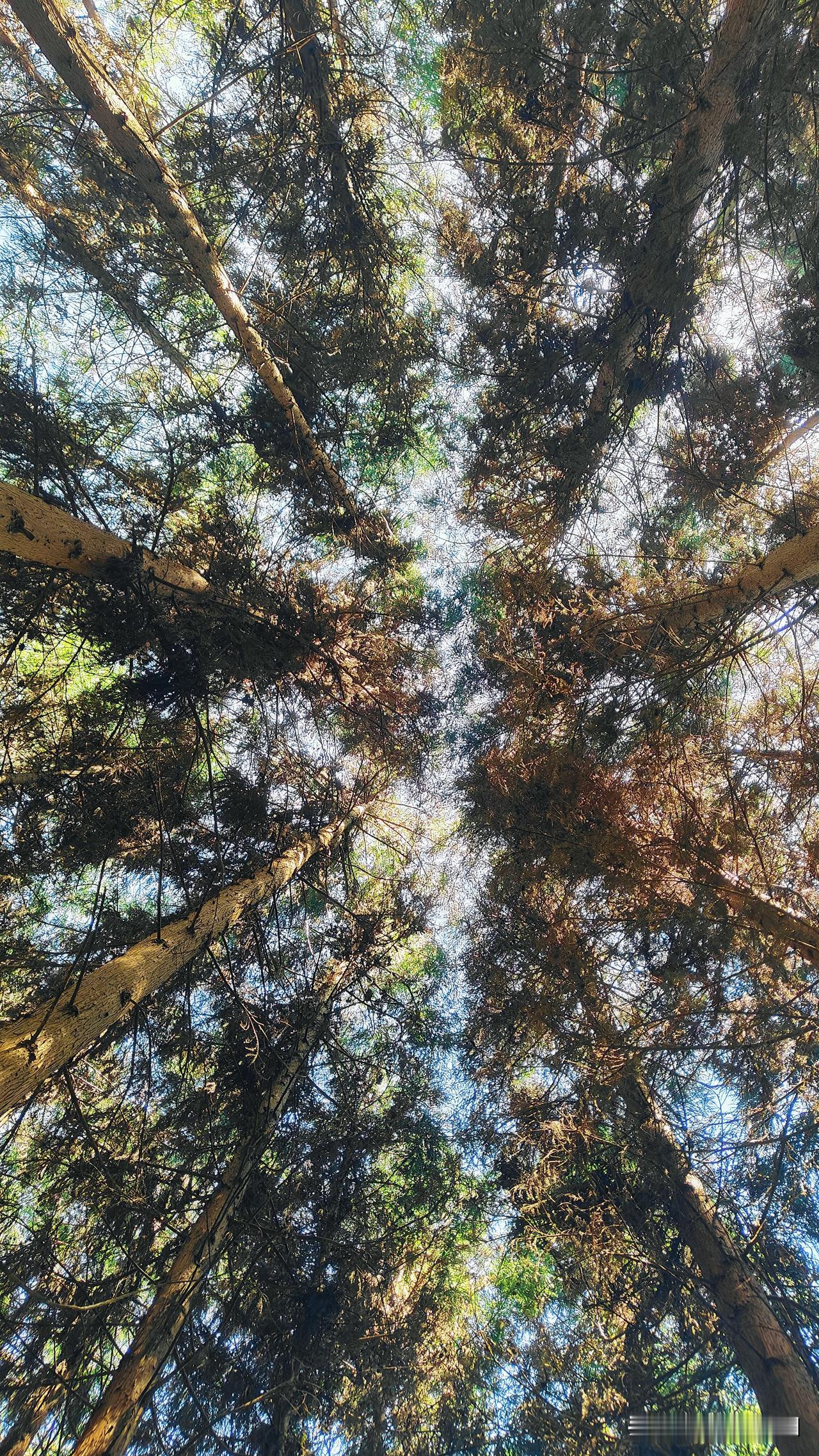 很多时候不必要的忙碌，真的是不必要，看似自己很忙碌，往往是对自己的一种假象，世界