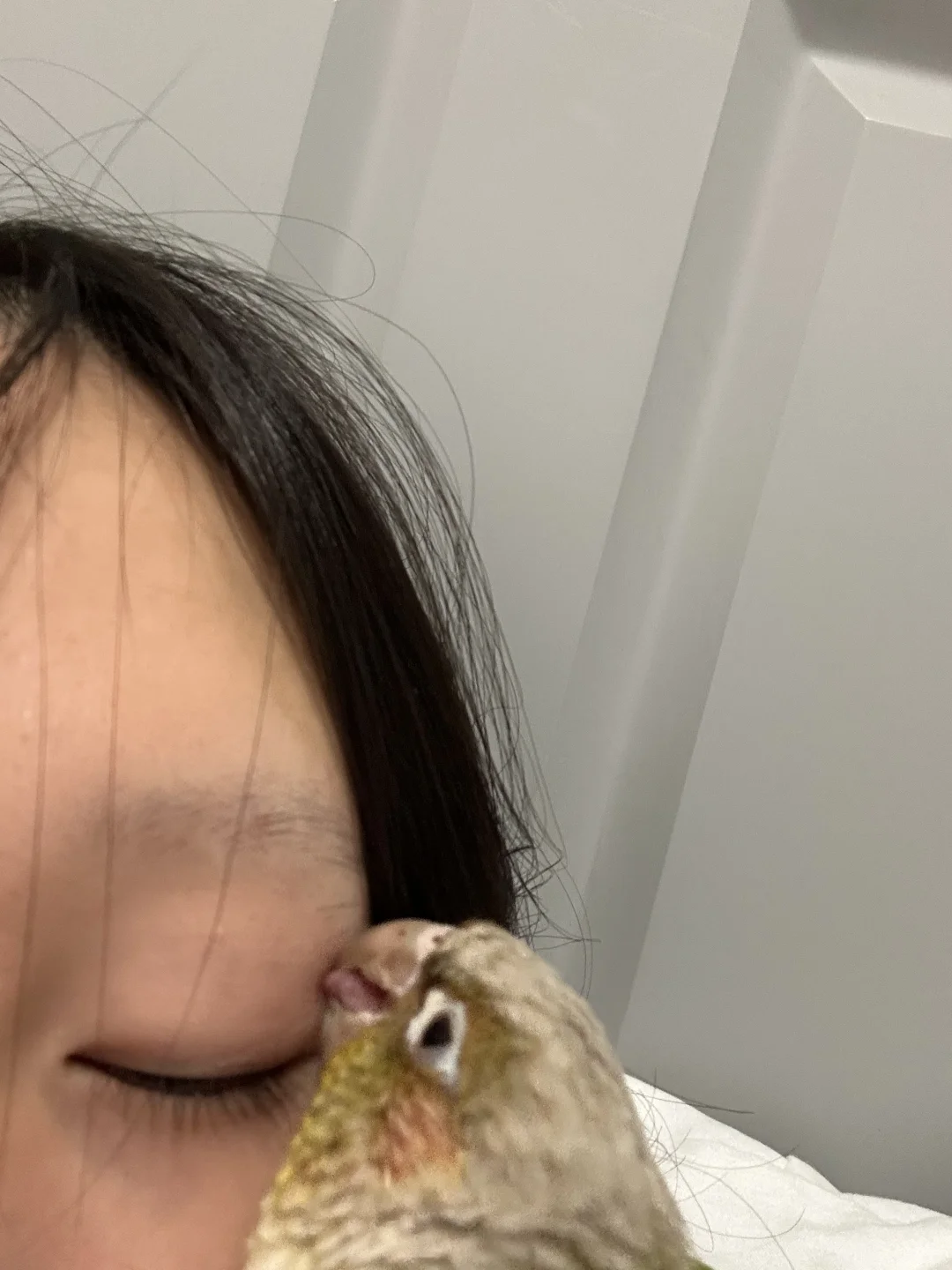 小太阳真的很喜欢在脸上啃啃啃