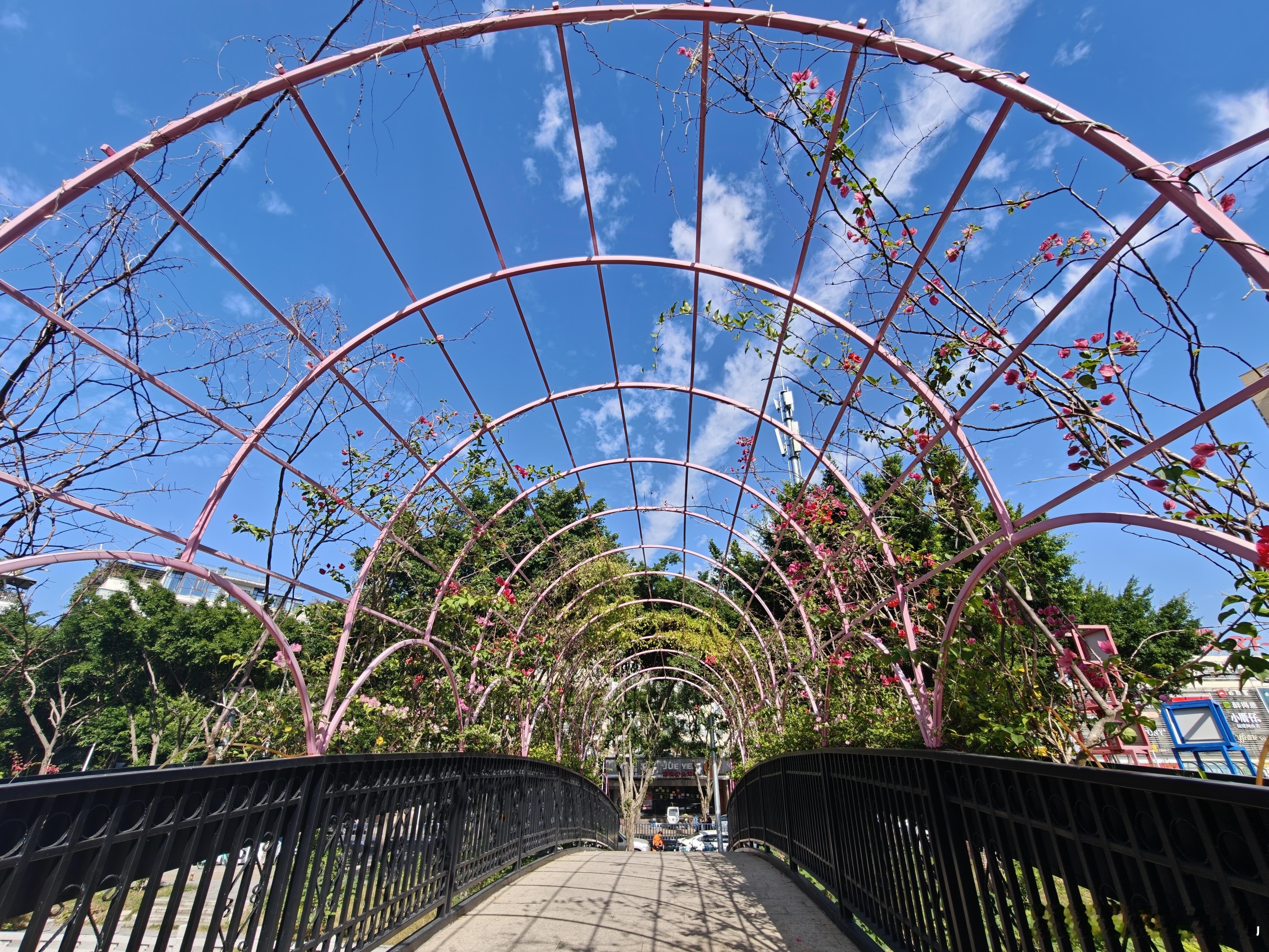 早，元气满满的一周又开始咯 