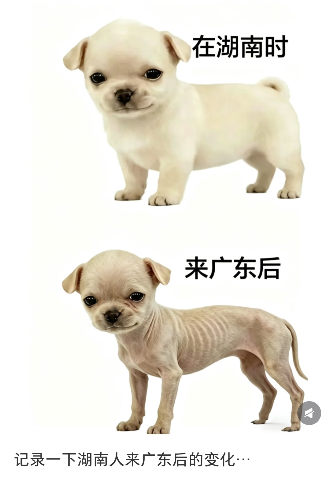 不至于吧，那广东很适合减肥了