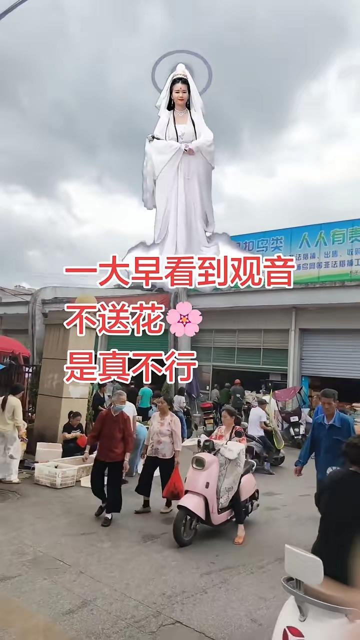一大早看到观音不送花是真不行。
清晨出门或是途经寺庙、路边观音造像，不少人匆匆看