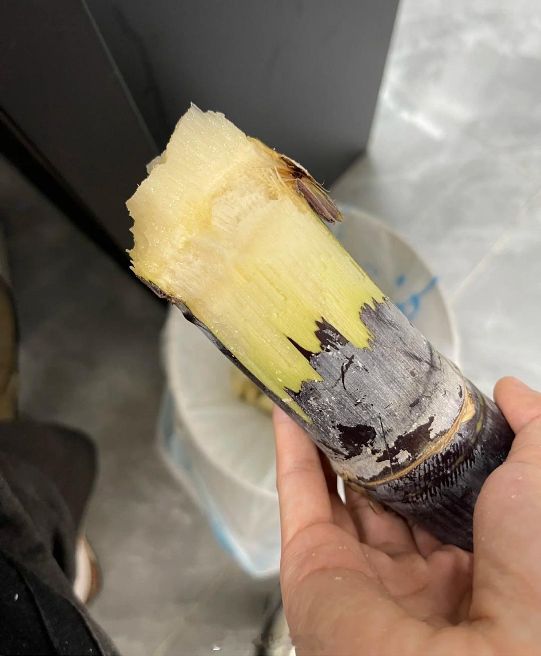 秋冬吃甘蔗是大补 就我啃甘蔗会烂嘴流血吗不管怎么啃，直接啃，剥皮啃，小块啃舌头和