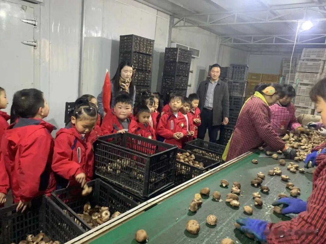 近日，宁强县大安镇中心幼儿园大班幼儿开展了“舌尖上的家乡味”实践活动，孩子们走进