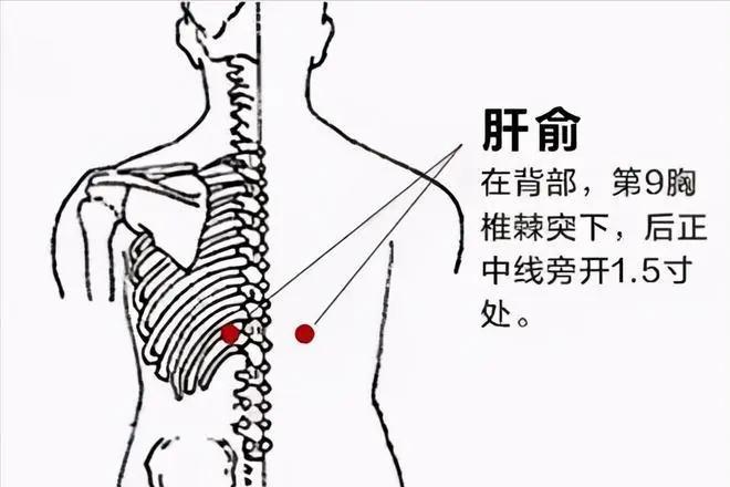 肝一好，百病消！中医教你三个养肝穴，让你肝强寿更长！

1、调肝气——肝俞穴
肝