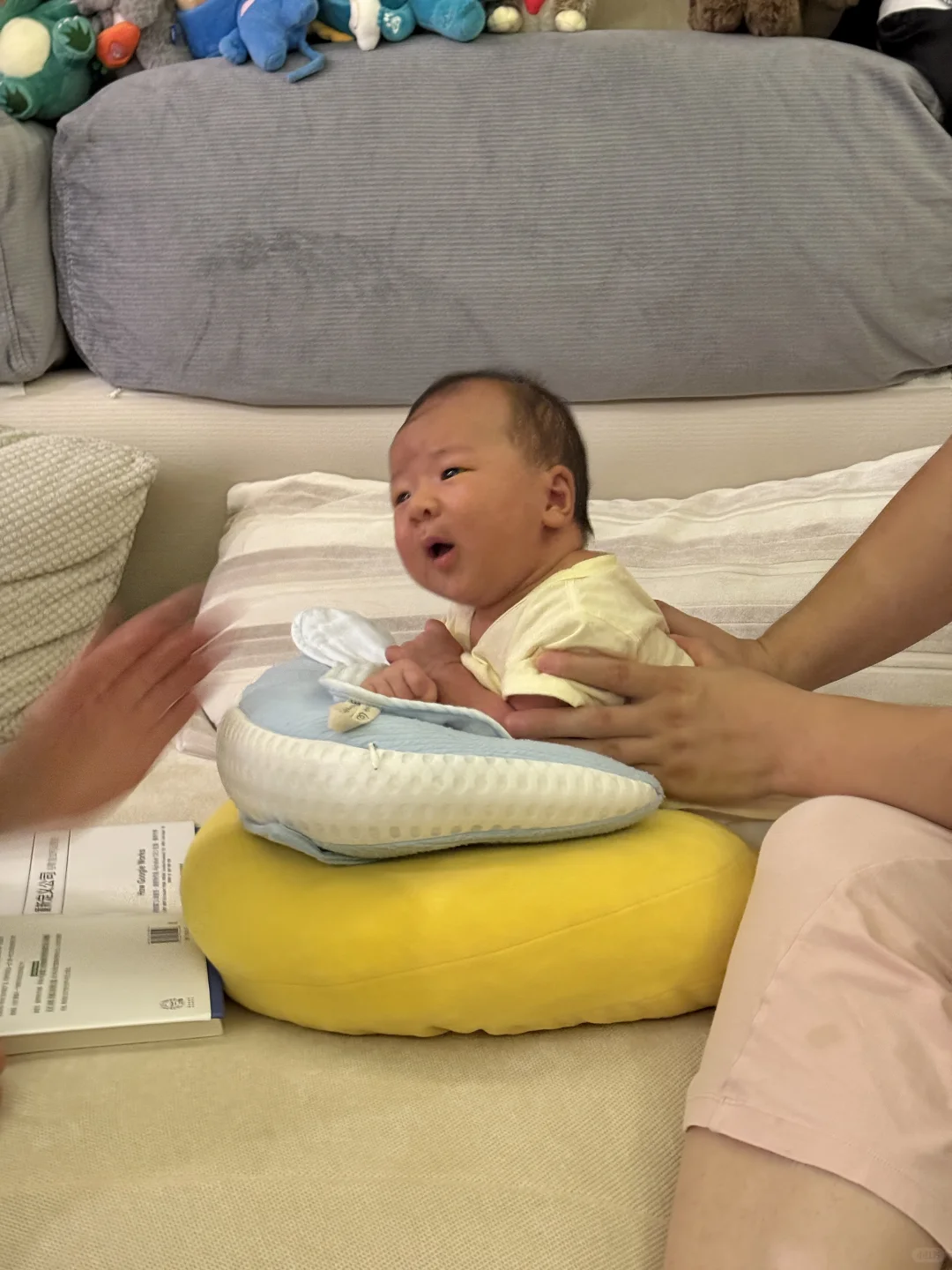 头发没长 抬头从小趴菜变成了王者