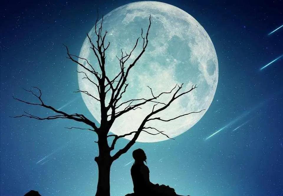 #上联：花开花落春秋逝，诚邀下联#
上联：花开花落春秋逝
下联：月圆月缺人渐老