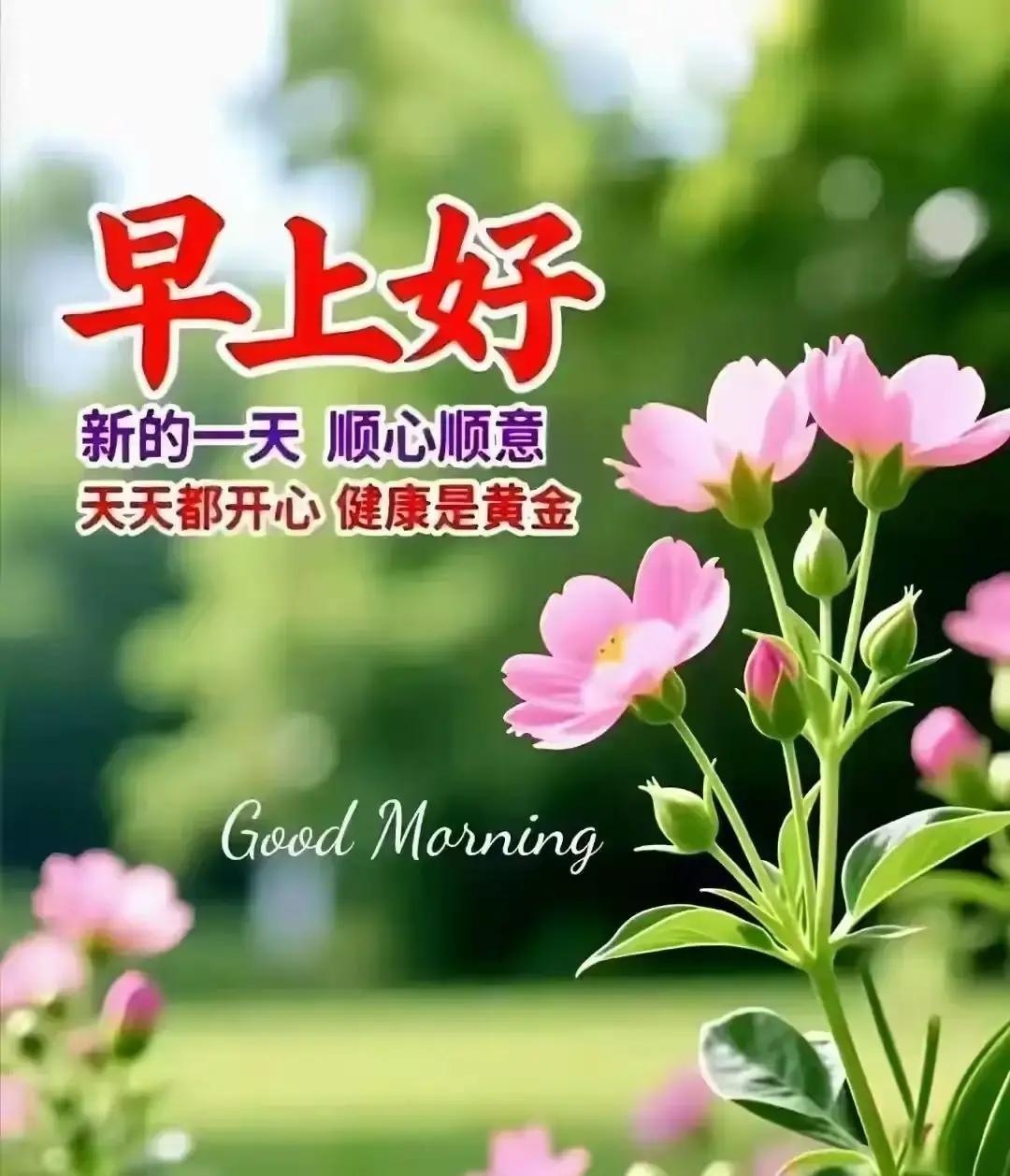 清晨的北海一醒来，海风、烟火和忙碌的人们就把整座城的温度都带了起来。

天刚蒙蒙