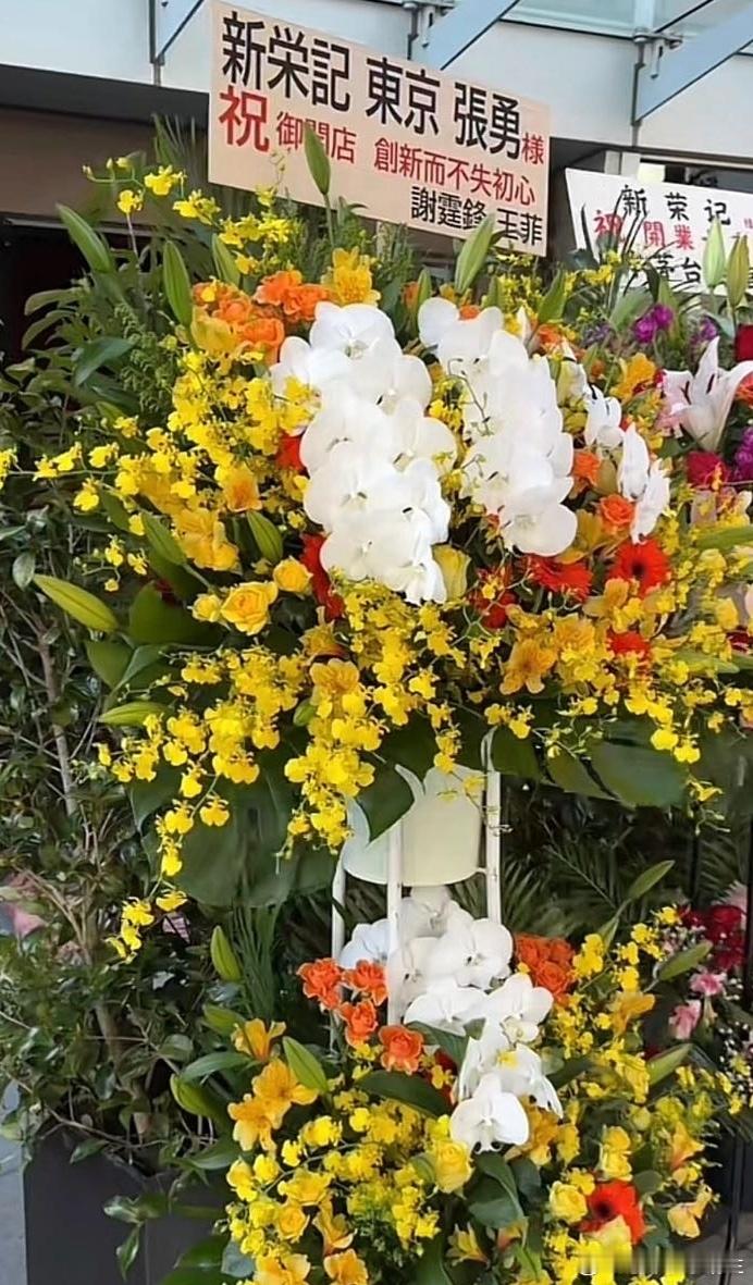 谢霆锋王菲联名送花篮，谢霆锋名字在前，王菲名字在后，网友调侃二人家庭地位：王菲为