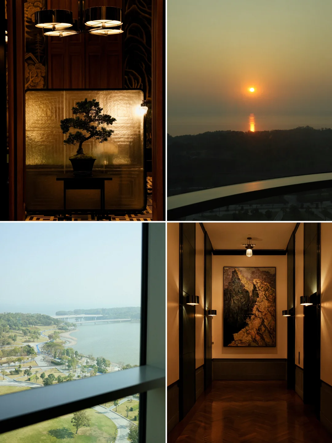 🌅我花2万在深圳湾看了一场海上日出