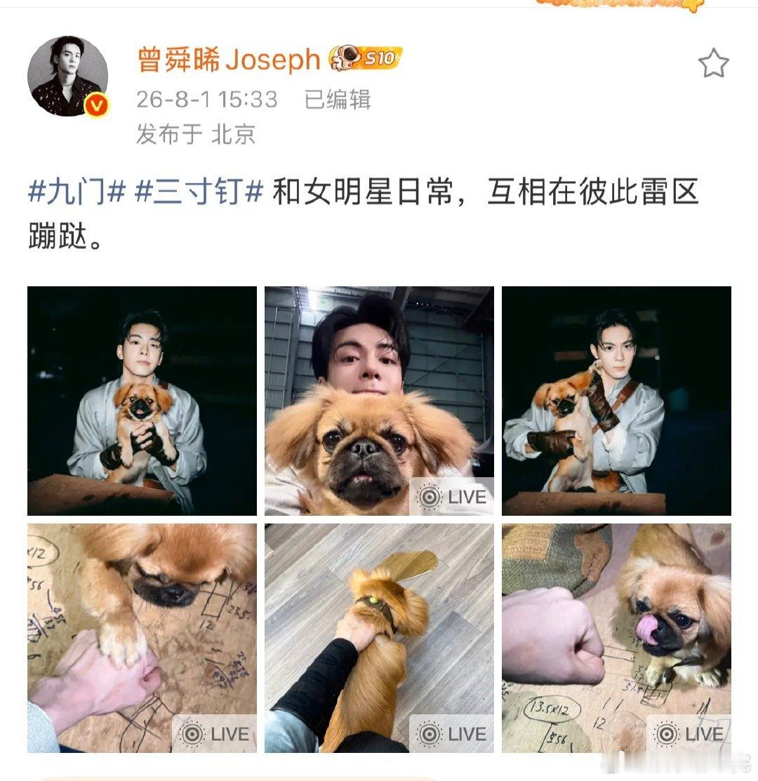 曾舜晞叫三寸钉女明星 别人片场聊角色对手戏，曾舜晞独一份操心自家女明星三寸钉，连