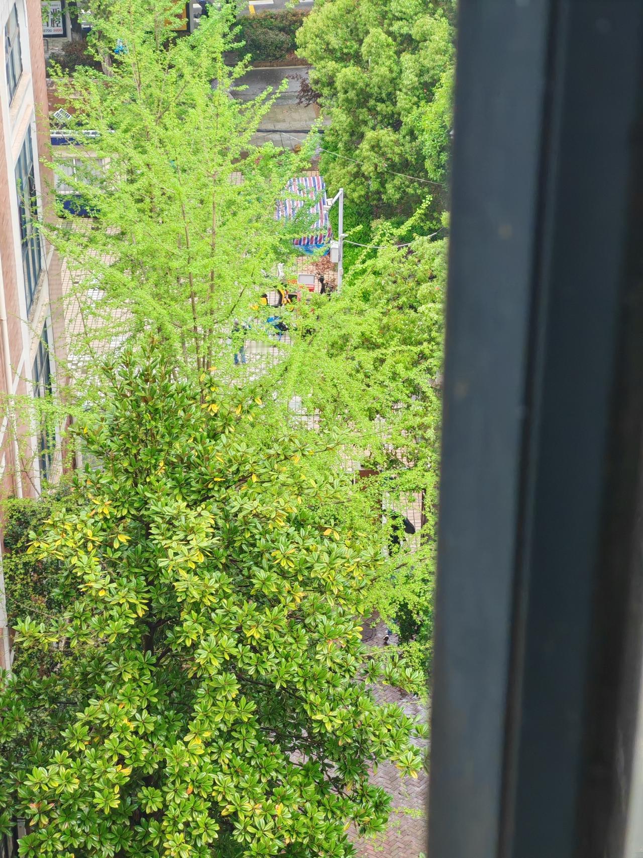 1. 妈妈发疯，一是自己的体力到达了极致，已经撑不住了。二是家庭明明有闲人，跟装