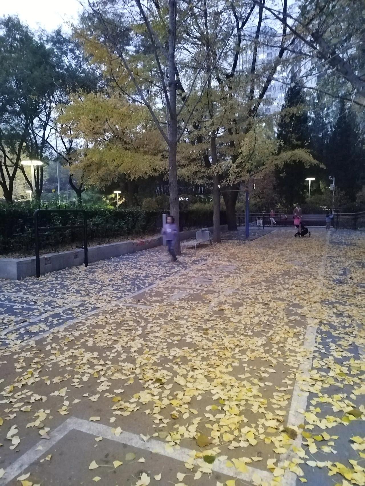 卜算子   闲思
文/李耀海
岁月总匆匆，
往事安能退。
恰似秋天一阵风，
落叶