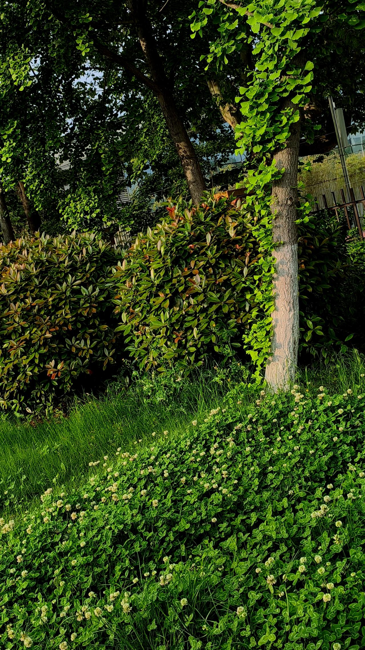 二是工作上努力能有回报，之前的付出都能开花结果。升职加薪不敢奢求，至少能得到认可